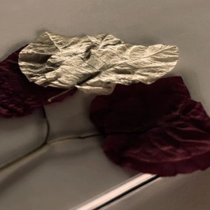 Varshitha  Valli  Ponnam